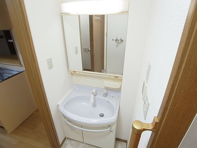 【洗面所】 | 東尻池３丁目貸家 | シャワー付きの独立洗面台