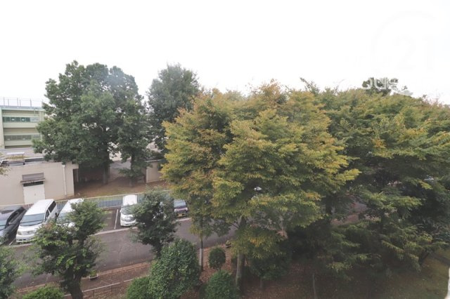 【展望】 | 西けやき台団地２号棟 | 物件からの展望　緑豊かです