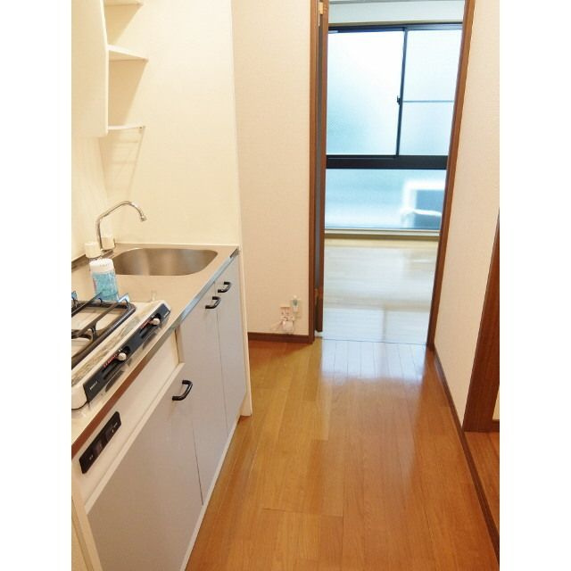 アンプルールフェールアミーⅡのその他