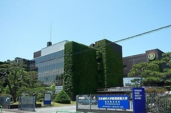 メリオルの周辺|日本歯科大学新潟病院まで1000m