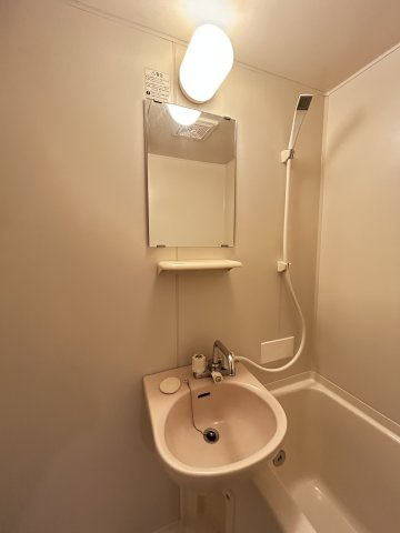 スプリングハイツ国香の洗面所