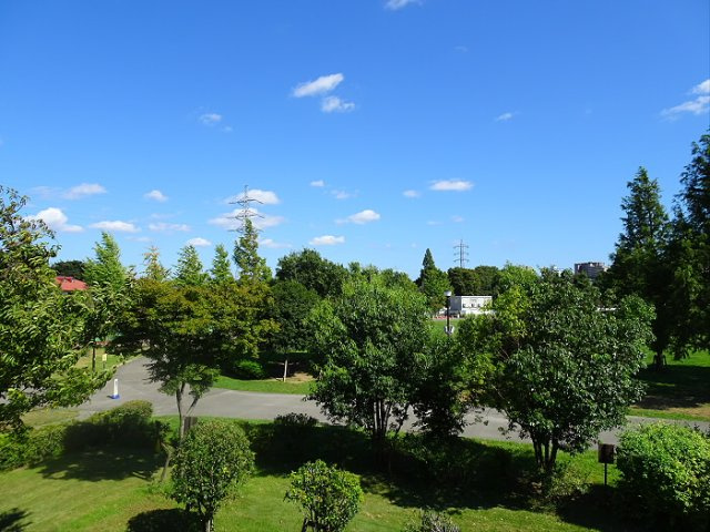 グリーンゲーブルズの展望