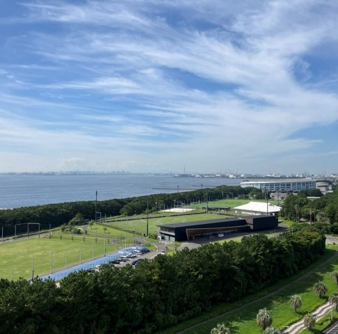 マリンフォートサンセットウイングライトの展望