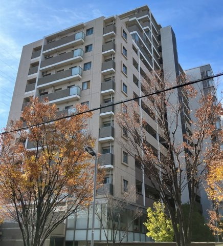 プラウドシティ金町アベニュー