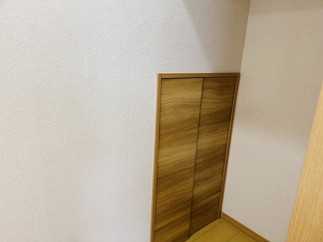 八王子市　弐分方町　中古戸建ての収納|～階段下収納　掃除グッズ、災害時グッズ、備品ストックなどに大活躍～