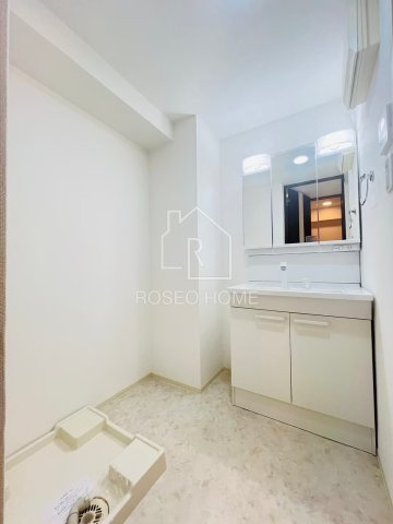 グランシス天満橋の洗面所