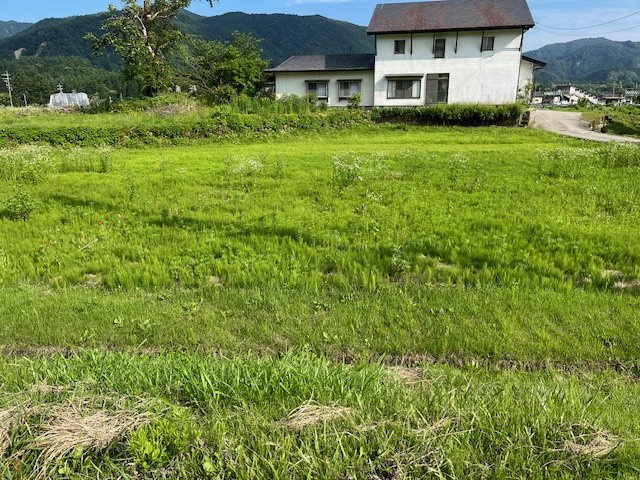 岩岳新田地区国道沿いの土地の展望|国道側から