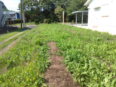 【外観】 | 田路雑種地