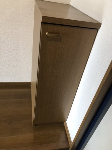 ビッグフォレストつくばの収納|下駄箱