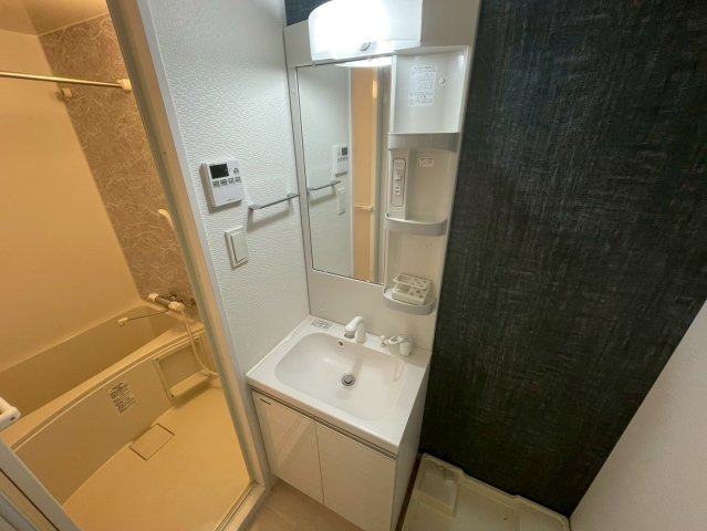 S-RESIDENCE大阪九条Northの洗面所