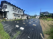 三刀屋町売土地の画像