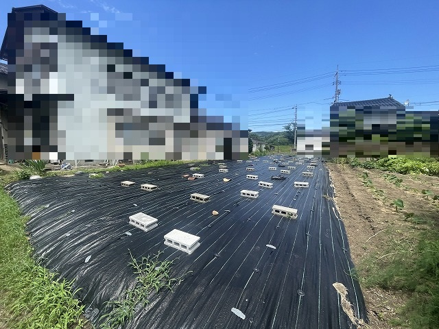 【外観】 | 三刀屋町売土地 | 外観です