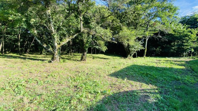 御代田 桜ヶ丘エリア 明るく開けた眺望の売土地