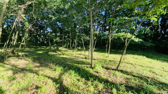 御代田 桜ヶ丘エリア 明るく開けた眺望の売土地のその他