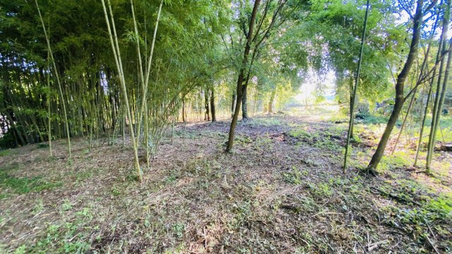 御代田 桜ヶ丘エリア 明るく開けた眺望の売土地のその他