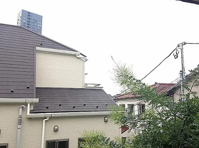 【展望】 | 和公苑