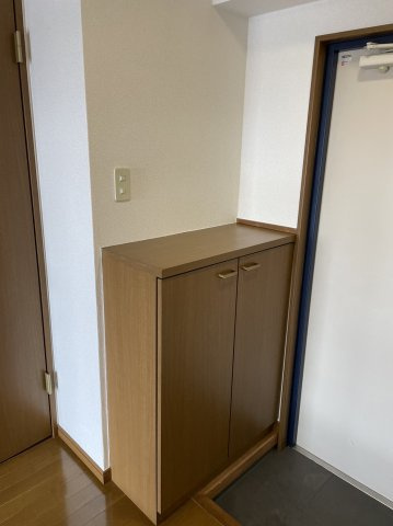 ビッグフォレストつくばの収納|下駄箱