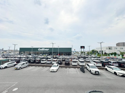 【展望】 | ライトメロウ