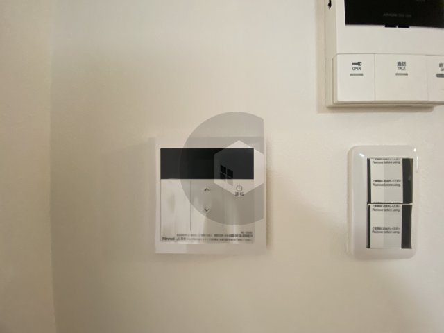 モアナ長瀬のその他