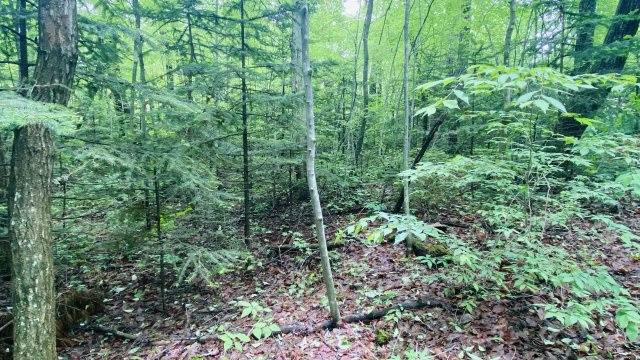 西軽井沢 追分宿エリア 450坪超えの売土地