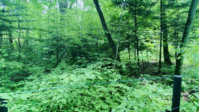 西軽井沢 追分宿エリア 450坪超えの売土地のその他