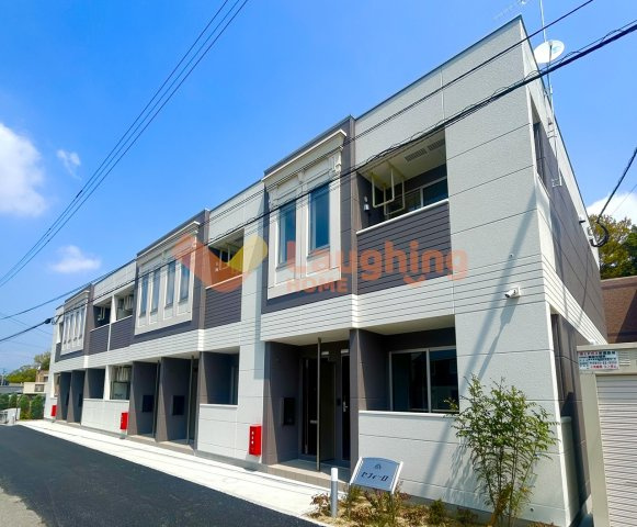 Lightsnow