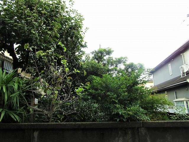 プラザ ドゥ フィエスタBの展望