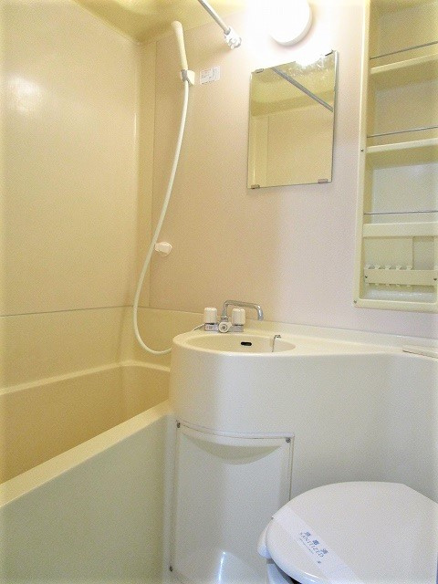 プラザ ドゥ フィエスタBの浴室