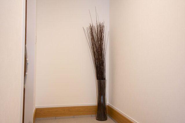 大津市梅林2丁目　新築戸建の玄関