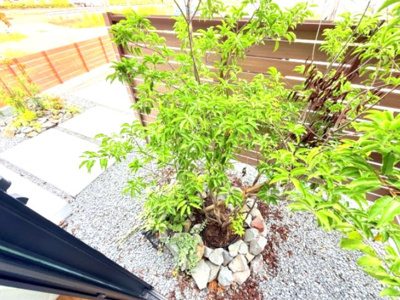 【バルコニー】 | ミライエル