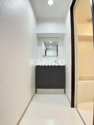 プレジデントハイツの洗面所