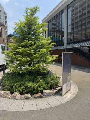 【その他】 | ガーデンライフ岡本