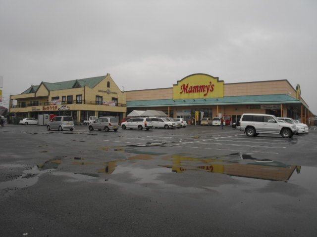 アクアマリンの周辺|マミーズ柳川店まで1,360ｍ