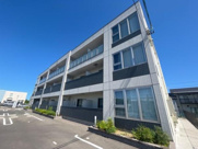 ゼルコバの画像