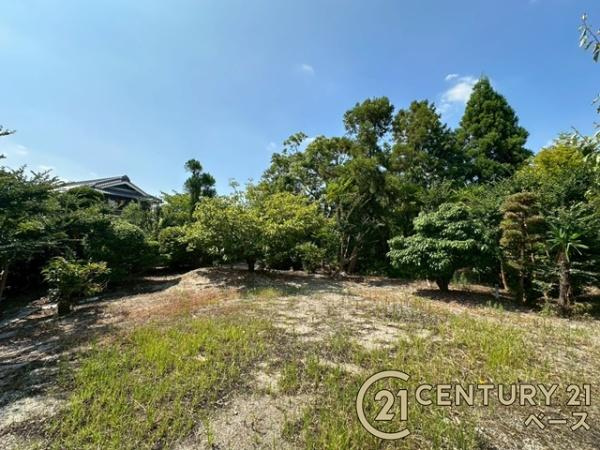 大和高田市礒野町　一戸建の庭