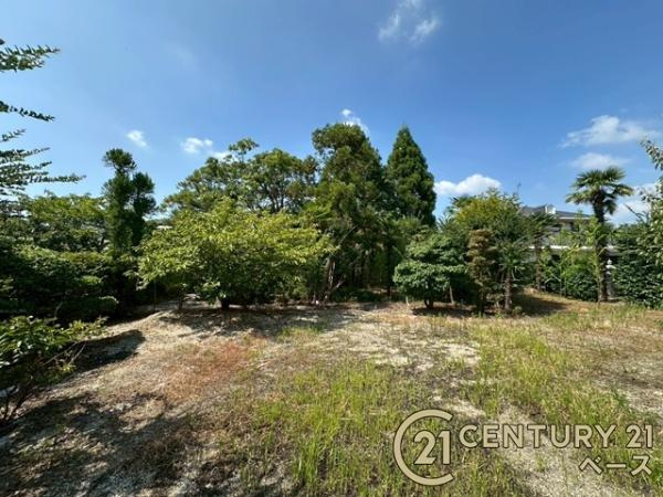 大和高田市礒野町　一戸建の庭