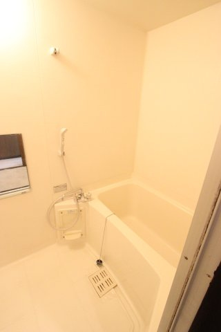 ソレアードⅡの浴室