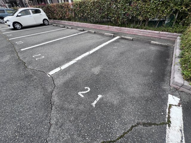 アンジェリークのセキュリティ