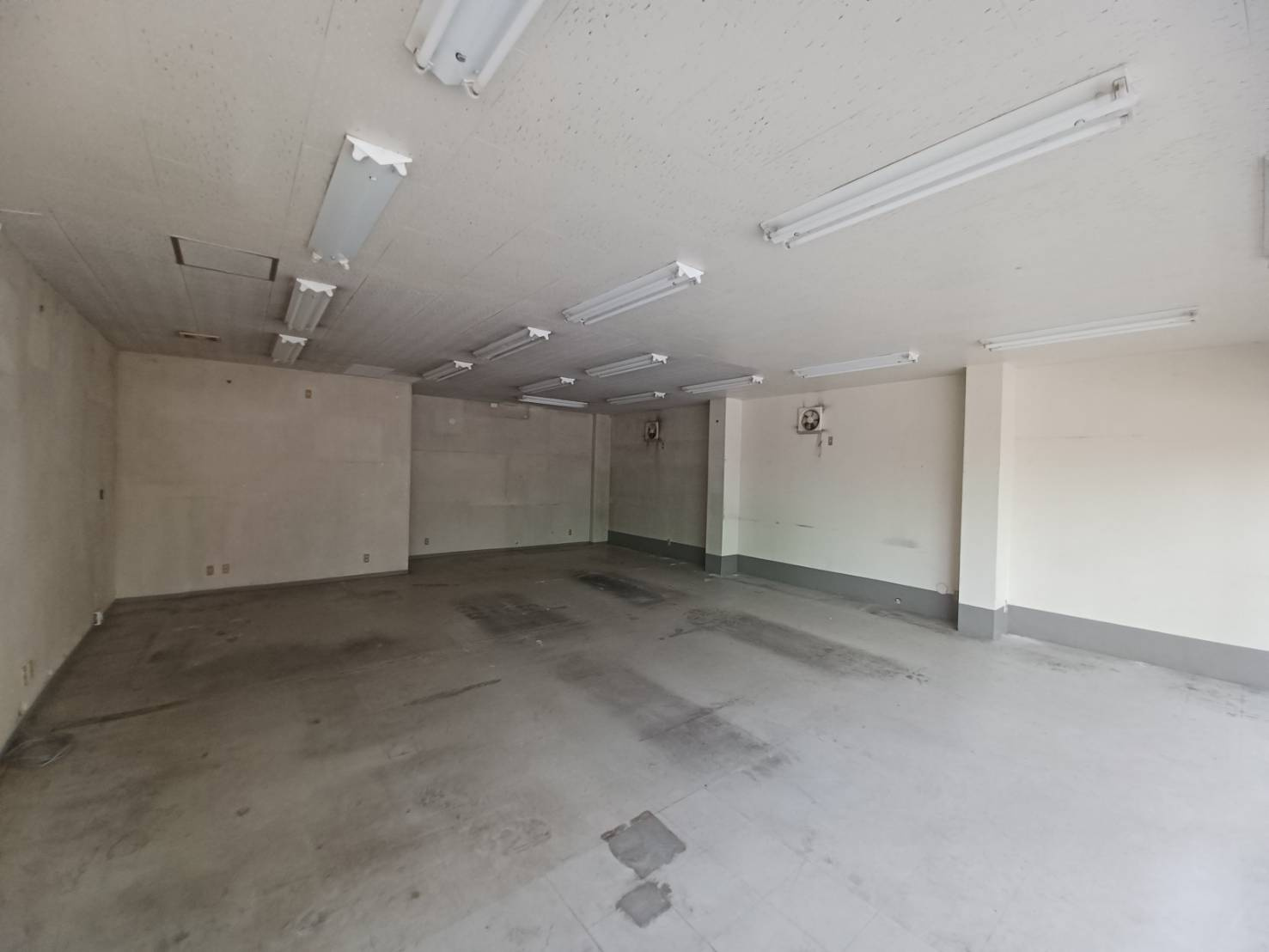 猪狩店舗の内装