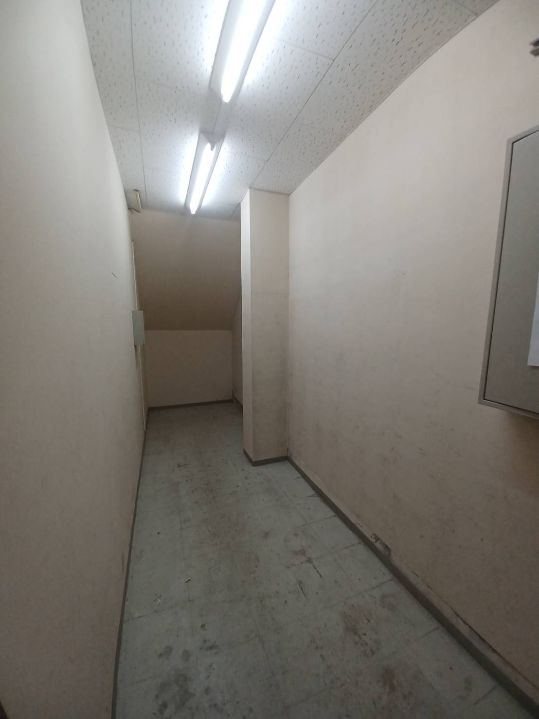 猪狩店舗の内装