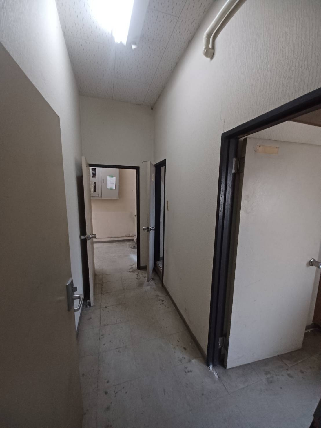 猪狩店舗の内装