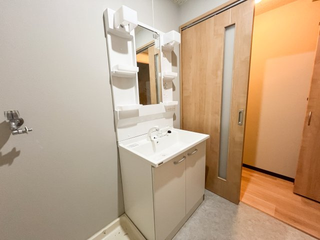 パークサイド高須2の独立洗面台