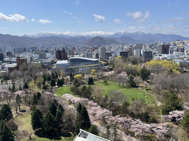 ザ・タワー中島公園ラピス・ライオンズスクエアの展望|これは、桜シーズンのリビングからの眺望です。