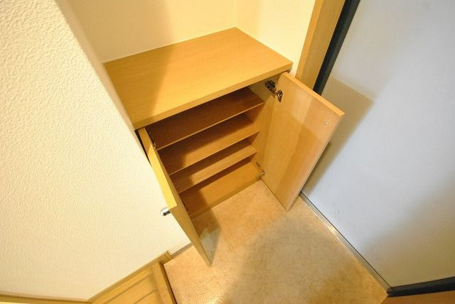 グランヴィラージュの収納