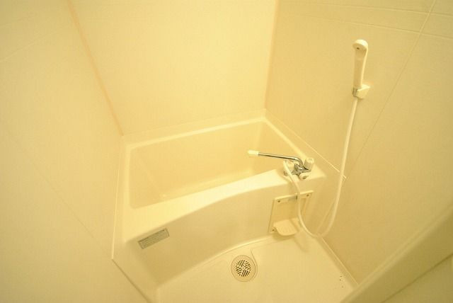 グランヴィラージュの浴室