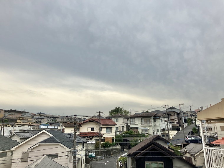 サンクタス横濱三ツ沢公園の展望