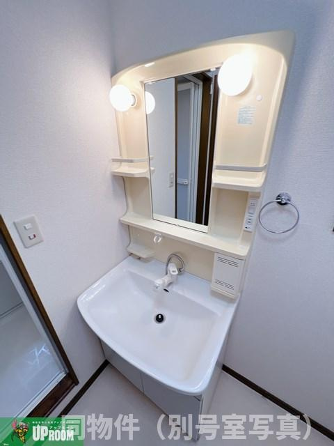 ルーエB棟の洗面所