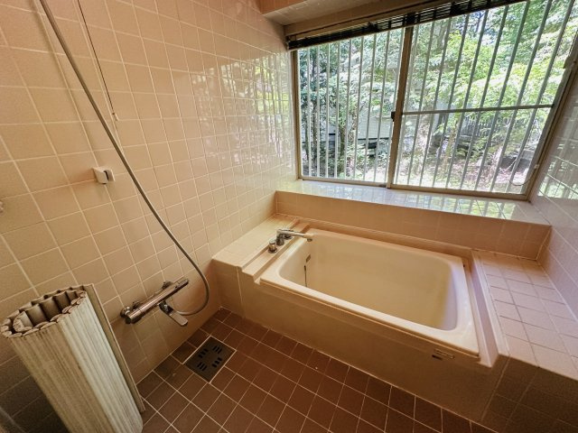 南軽井沢 南平台エリア 中古戸建の浴室