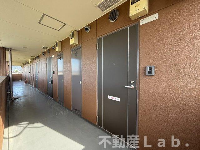 ファレノプシスのキッチン