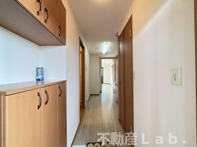 ファレノプシス